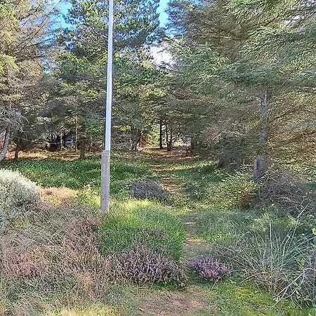 In With Sauna * Thisted